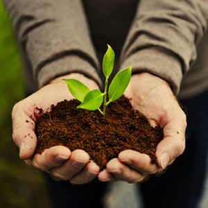hands-holding-a-pile-of-earth hands-holding-a-pile-of-earth