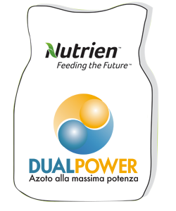 DUALPOWER 31-0-19